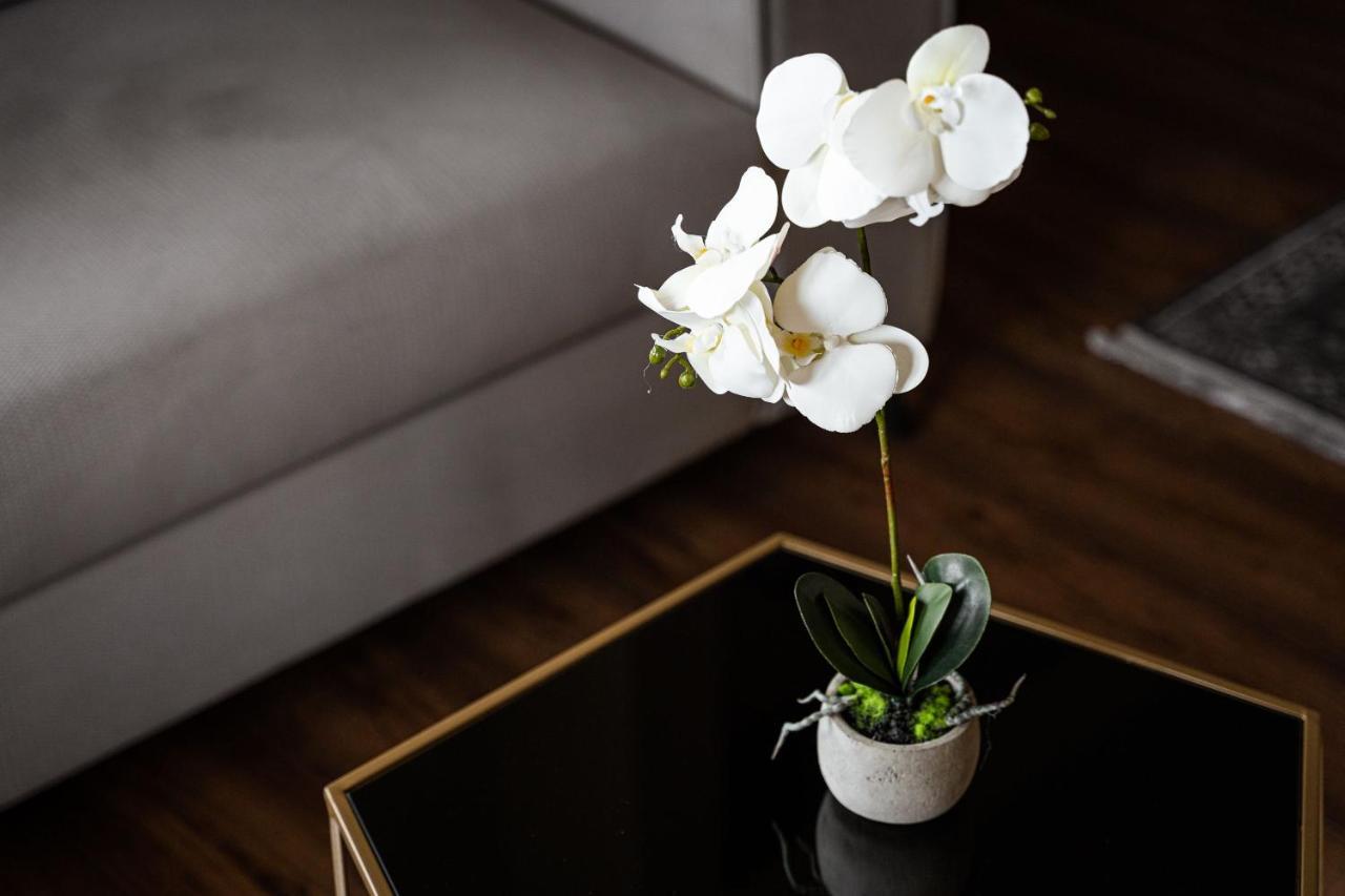 אתונה Glyfada Premium Residence מראה חיצוני תמונה
